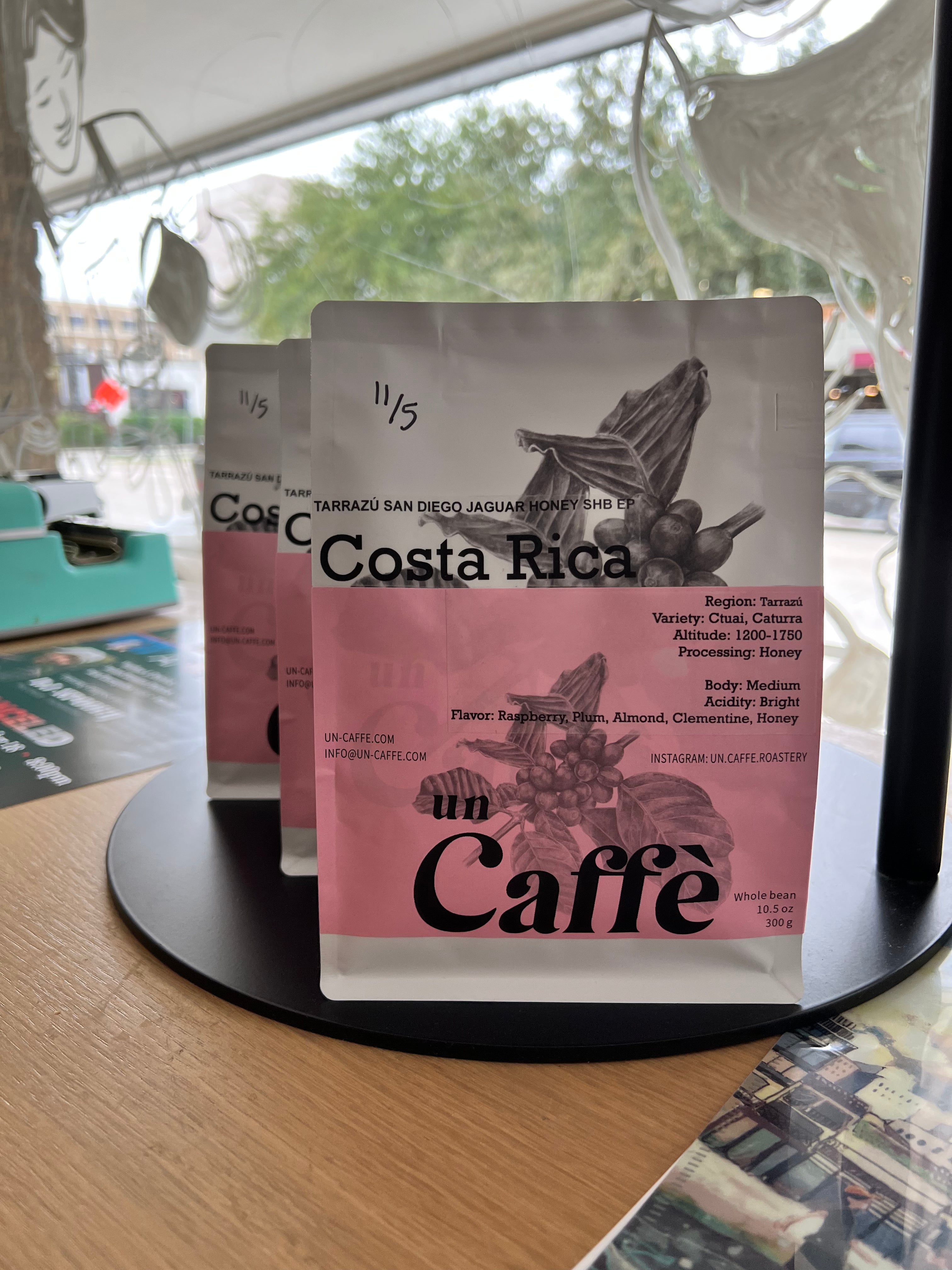 COSTA RICA TARRAZÚ SAN DIEGO JAGUAR HONEY SHB EP 2023